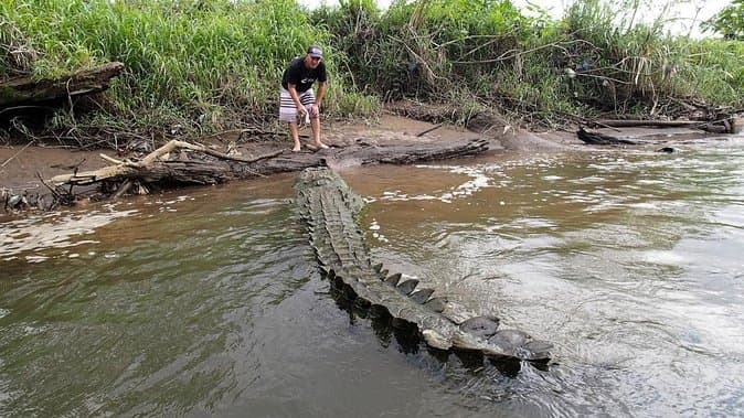 Crocodile Tour