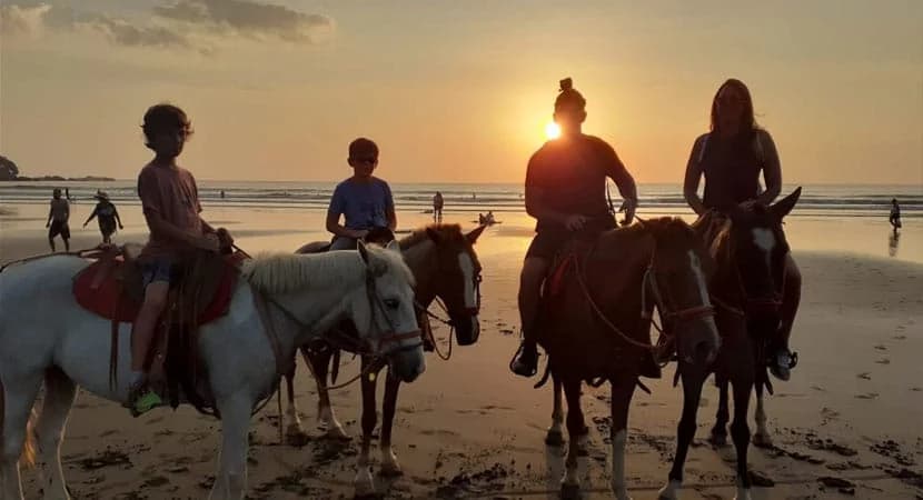 Horseback Riding Tour