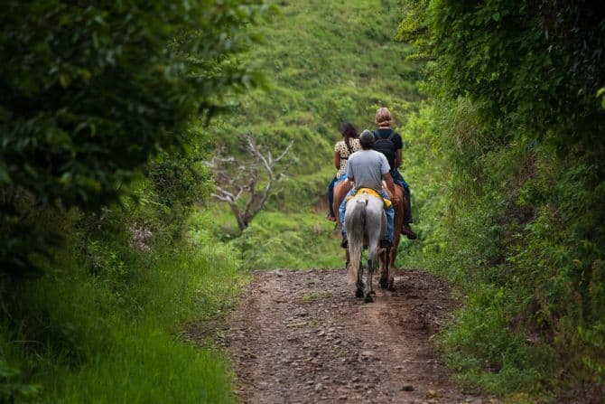 Horseback Riding Tour