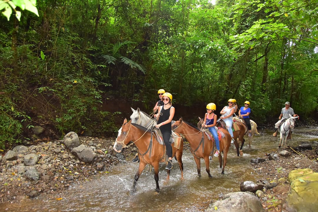 Horseback Riding Tour